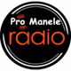 Logo de Radio Pro Manele