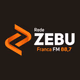 Logo de Rádio Zebu 88.7