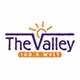 100.9 The Valley - WVLY-FM logo