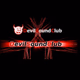 Logo de D S C