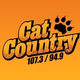 Logo de Cat Country 107.3 and 94.9 - KCIN