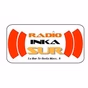 Radio Inkasur logo