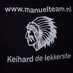 Logo de Manuelteam