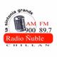 Radio Ñuble logo