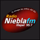 Logo de Radio Niebla FM 95.7