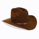 Logo de True Country Internet Radio