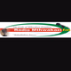 Logo de Radio Mthwakazi FM