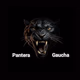 Logo de Rádio Pantera Gaúcha