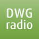 DWG Radio Ceský logo