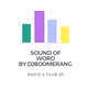 Logo de djboomerang