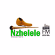 Logo de Nzhelele FM