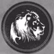 Logo de LeosRock1