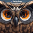 Radio Boof - MIX logo