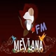 Radyo Mevlana logo
