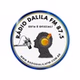 Rádio Dalila FM 87.5 logo