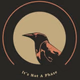 Logo de It's Not A Phase Radio