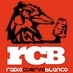 Logo de Radio Cuervo Blanco