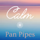 Logo de Calm Radio - Calm Pan Pipes