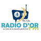 Logo de Radio D'or Fm Miragoane