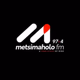 Logo de Metsimaholo FM