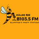 B103.5 - WDDB-LP logo