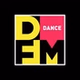 DFM Саранск logo