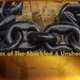 Logo de Voices of The Shackled and Unshackled