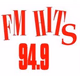 Logo de Hits FM 94.9