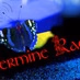Logo de Hermine Radio Celtic