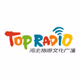 Logo de 河北旅游广播 FM100.3