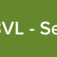 Logo de Radio BVL - Sertanejo