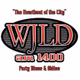Logo de 104.1 FM WJLD - W231DE