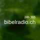 Bibleradio - NT & Psalmen 24h logo
