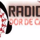 Logo de Radio Dor De Casa