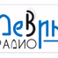 Logo de Radio Devin 103.6 FM