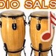 Radio Salson logo