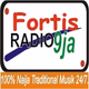 Logo de Fortis Radio - Naija's Hausa Music