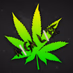 Logo de High Life Jamz