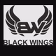 Logo de Radio Black Wings