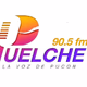 Logo de Puelche 90.5 FM
