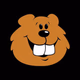 Logo de 106.3 The Beaver - WBVR