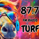 Logo de RADIO TURF 87.7 FM