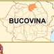 Radio Bucovina logo