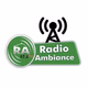 Logo de Radio Ambiance Bamako