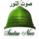 Sautun Noor logo