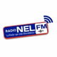 Logo de Radio Nel FM