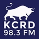 Bellowing Ox Radio - KGDR-LP logo