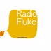 Logo de radio fluke