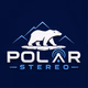 Polar Stereo logo