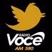 Logo de Rádio Você AM 580